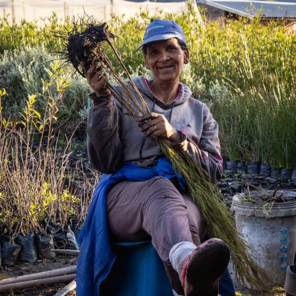 A farmer holding up plants.