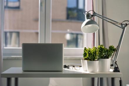 Photo of a desk with natural light coming in from a window and plants sitting on the desk